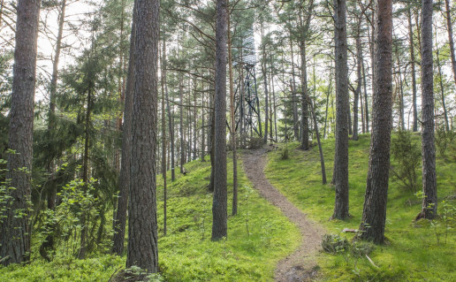 1_Raganos kalnas.jpg